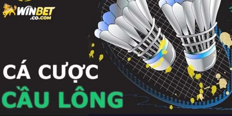 Tìm hiểu sơ lược về cá cược cầu lông