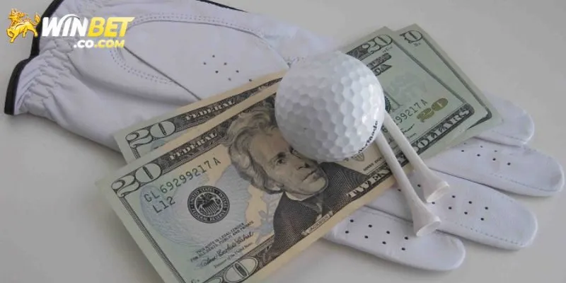 Cá Cược Golf - Các Kèo Hấp Dẫn Và Bí Quyết Thắng Từ Winbet