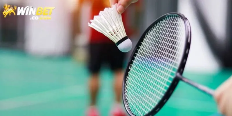 Quy trình tham gia cá cược cầu lông tại Winbet