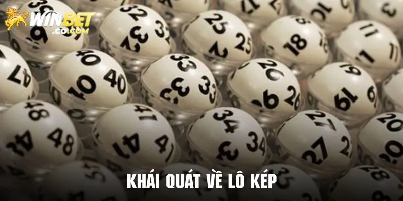 Giới thiệu cơ bản về lô kép