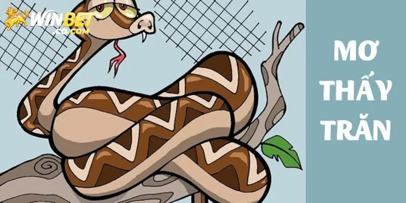 Chiêm bao bị bò lên người