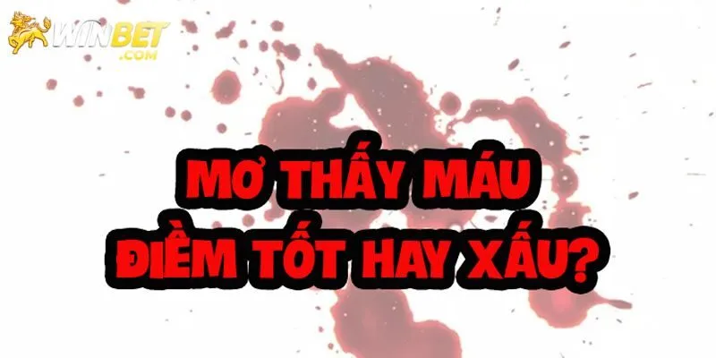 Chiêm bao đánh nhau chảy máu