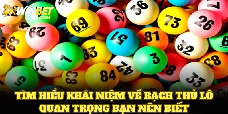 Sơ lược về bạch thủ lô cực hấp dẫn