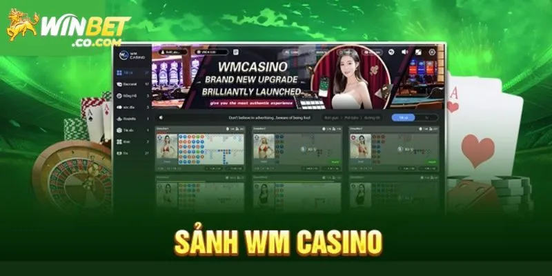 Top các sản phẩm hot nhất sảnh cược WM